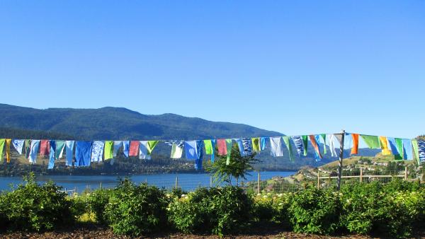 Kalamalka Garden flags